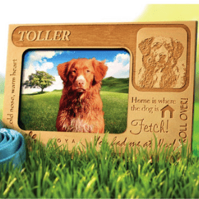Bucket Wonders Wholesale Souvenirs